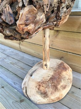Kunstwerk van een stierenkop, hout, Monfort - 6