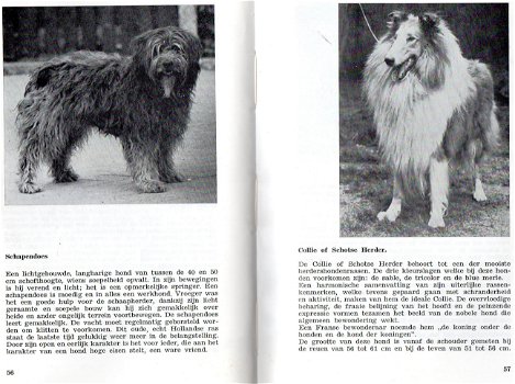 Alles over honden,Bogena,107 blz, van puppy tot senior, gst - 6