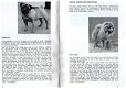 Alles over honden,Bogena,107 blz, van puppy tot senior, gst - 7 - Thumbnail