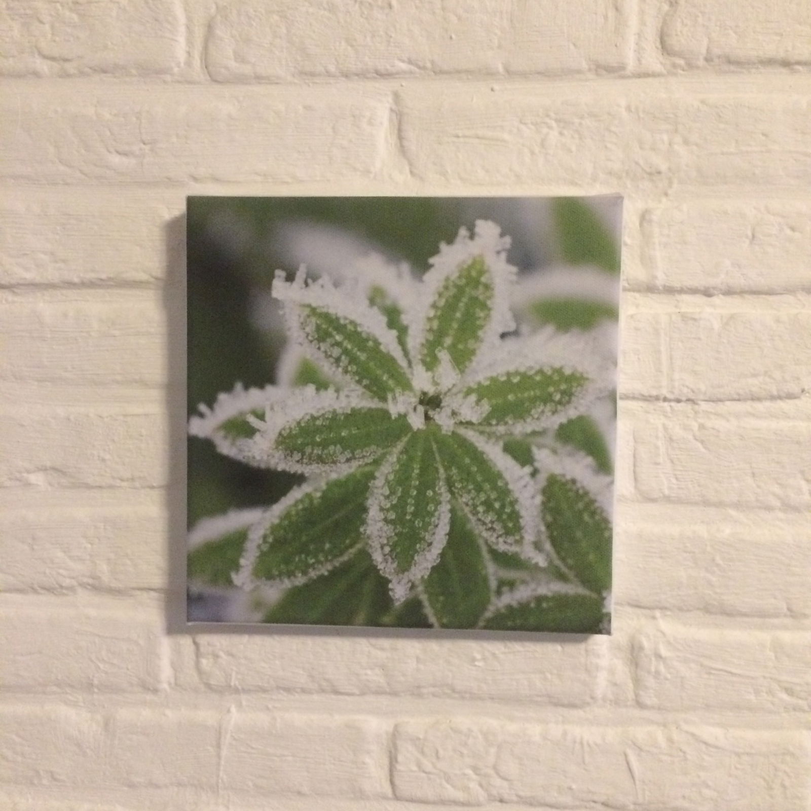 Foto op canvas - nr. 1