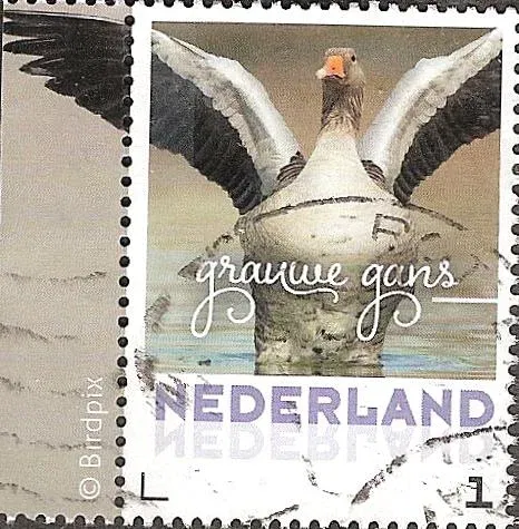 nederland 253 VERKOCHT - nr. 1
