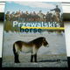 The tale of the Przewalski`s horse. Coming home to Mongolia. - 0 - Thumbnail