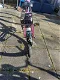 24 inch meisje fiets Kleur roze met versnellingen en terug traprem en handrem - 2 - Thumbnail