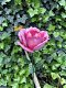 Metalen roos, leuke decoratie voor in de tuin, roze roos - 3 - Thumbnail