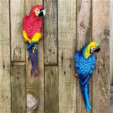Set papegaaien in kleur, wanddecoratie van gietijzer