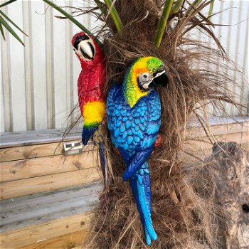 Set papegaaien in kleur, wanddecoratie van gietijzer - 1