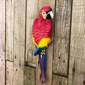 Set papegaaien in kleur, wanddecoratie van gietijzer - 3