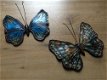 Set vlinders, wanddecoratie, tuinmuur - 3 - Thumbnail