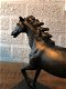 1 paardbeeldhouwwerk , massief gietijzer, brons -look - 6 - Thumbnail