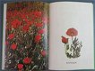 Wilde Bloemen uit het Heilige Land in Kruissteek - 4 - Thumbnail