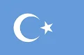 Vlag Oeigoeren Oost Turkestan - 0 - Thumbnail