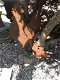 Silhouette van een haan en zijn 2 kuikentjes, gemaakt van gietijzer-rust - 0 - Thumbnail