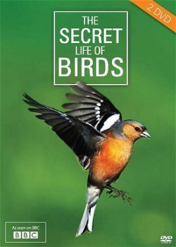 The Secret Life Of Birds (2 DVD) Nieuw/Gesealed BBC - 0