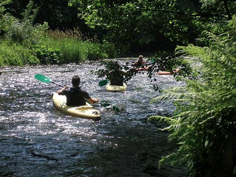 Vakantie in de ARDENNEN abseilen vissen zwemmen - 4