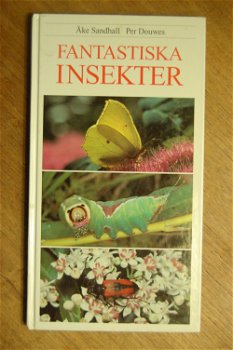 Fantastika Insekter - 0