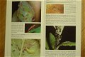 Fantastika Insekter - 1 - Thumbnail
