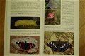 Fantastika Insekter - 3 - Thumbnail
