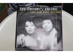 138y - tony sherman & julia loko --a-- too big for words--b--fantasy - nr. 1