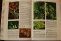 Geïllustreerde Kruiden Encyclopedie - 2 - Thumbnail