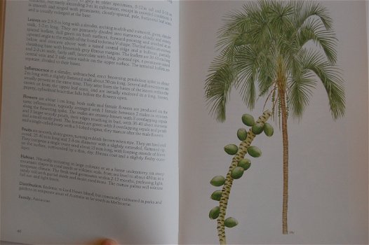 Key Guide to Australian Palms, Ferns and Allies - 1