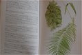 Key Guide to Australian Palms, Ferns and Allies - 2 - Thumbnail