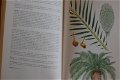 Key Guide to Australian Palms, Ferns and Allies - 3 - Thumbnail