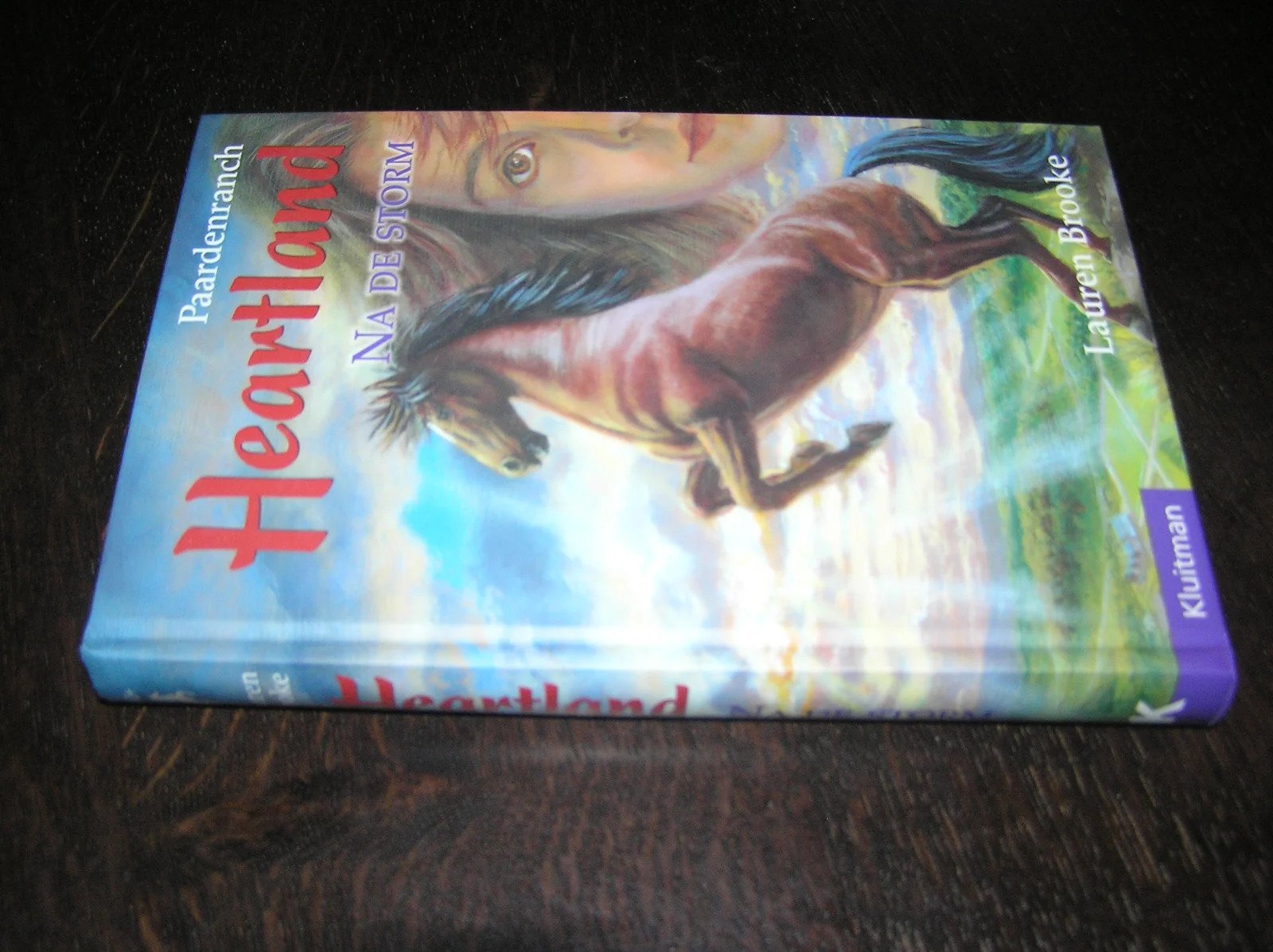 Paardenranch Heartland-Na de storm - Afbeelding 3