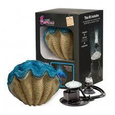 H2SHOW Blue Clam + Blue Light - nr. 1
