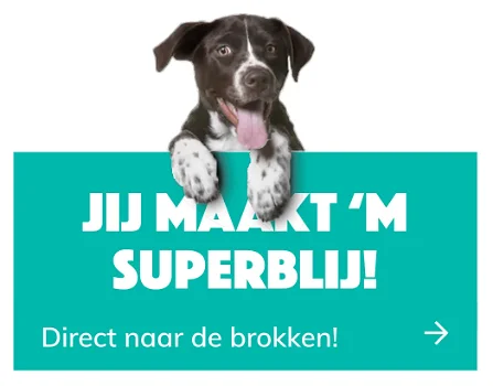 hondenbrokken.nl - 2