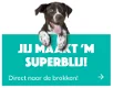 hondenbrokken.nl - 2 - Thumbnail