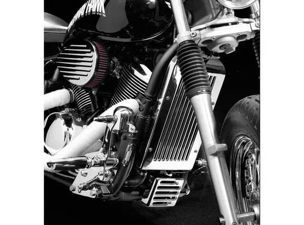 RVS Radiator cover Honda VT 1100 ACE C2 - nr. 1