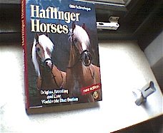 Haflinger horses.