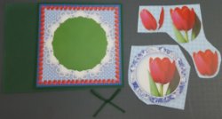 Tulp in een mooi kader