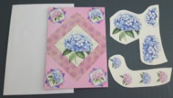 Hortensia, blauw gekleurd