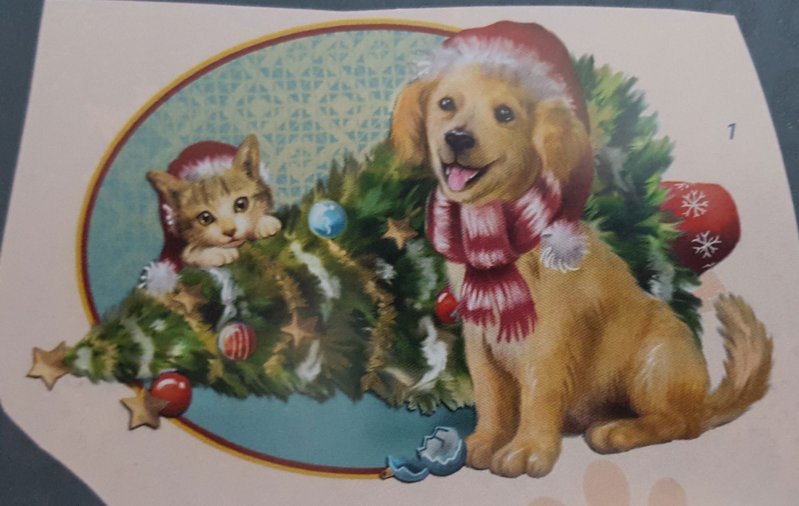 Hond en poes bij de omgevallen kerstboom - Afbeelding 3