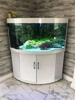 Aquarium Setups, stingrays and plants - 0