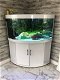 Aquarium Setups, stingrays and plants - 0 - Thumbnail