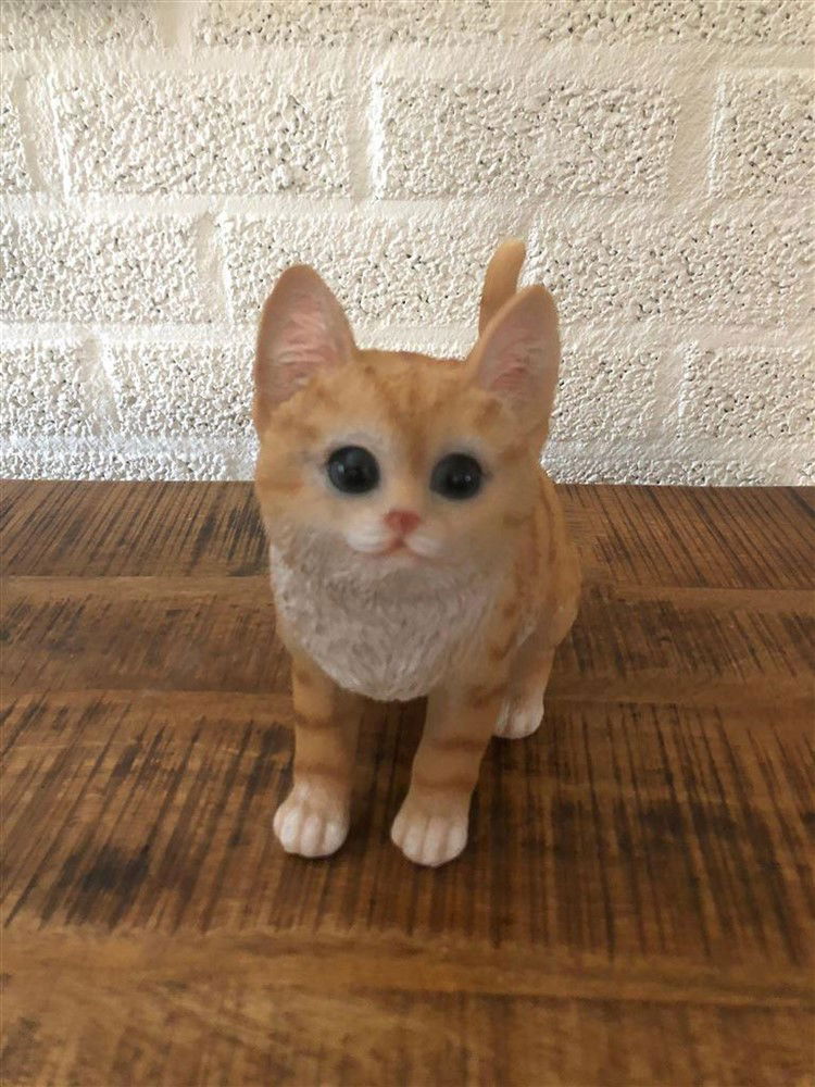 Poesje oranje - polystone , kat poes ,beeld - Afbeelding 5