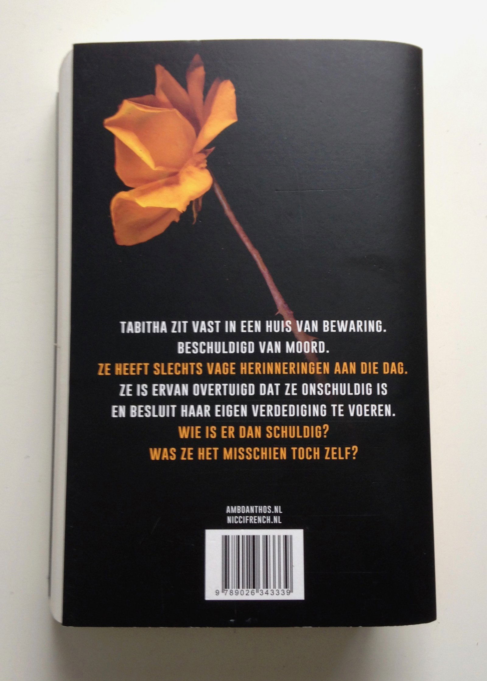 Nicci French - In hechtenis Literaire THRILLER - Afbeelding 3