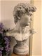 Sculptuur David, massief steen, imponerend fraai-tuin - 1 - Thumbnail