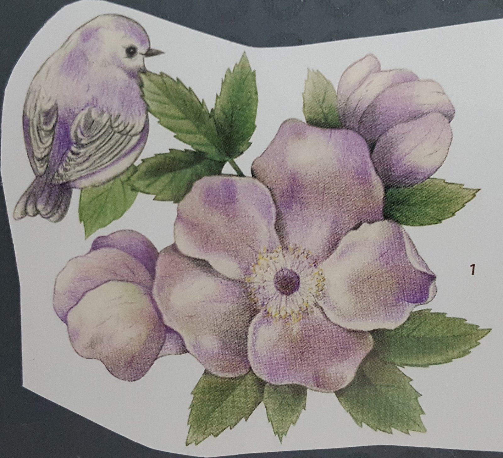 Vogel bij de lila bloemen - Afbeelding 3