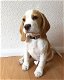 Mooie Beagle-puppy's te koop WhatsApp +31685615876 - 3 - Thumbnail