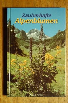 Zauberhafte Alpenblumen