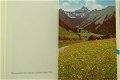 Zauberhafte Alpenblumen - 1 - Thumbnail