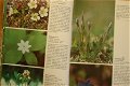 Växter och djur i fjällen - 4 - Thumbnail