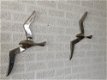Paar forse silhouette meeuwen-vogel-aluminium-meeuw - 6 - Thumbnail