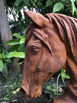 Paarden hoofd gemaakt van ijzer-paard-paardenhoofd - 6