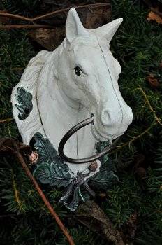 Paardenhoofd met ring, gietijzer-wit-paard-deco-tuin - 4