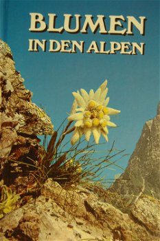 Blumen in den Alpen - 0