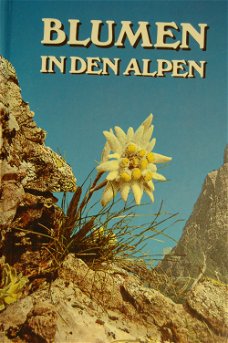 Blumen in den Alpen